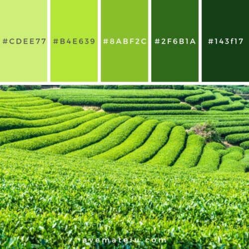 tea pantone