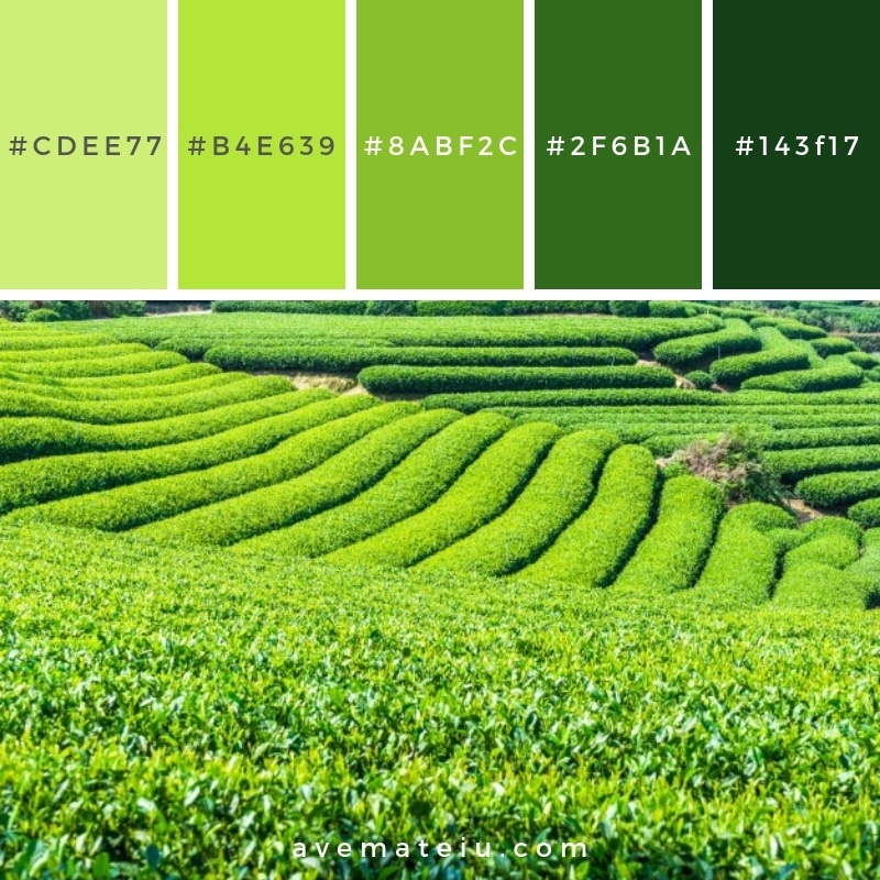 tea pantone