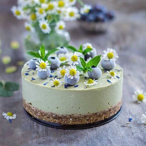 No Bake Chocolate Matcha Cheesecake 