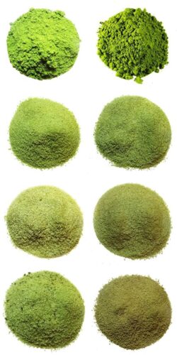 อิชิอุสุ