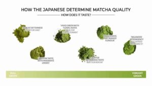 Matcha Quality