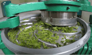 Tea Processing