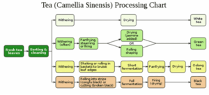 Tea Processing chart